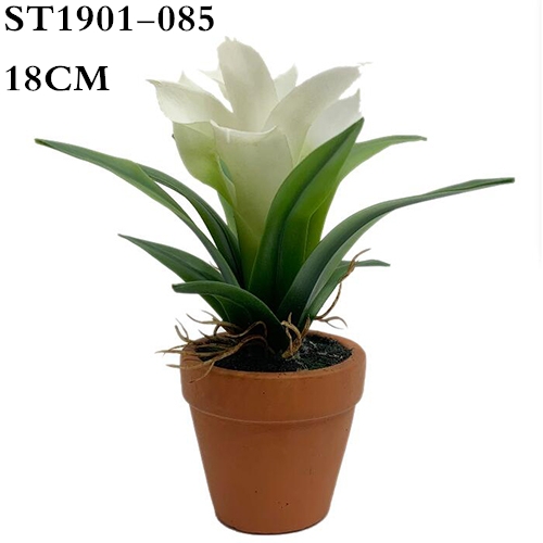 Artificial Guzmania Deseo